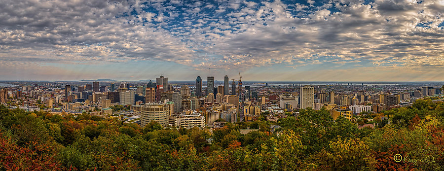 Cuong - Montréal