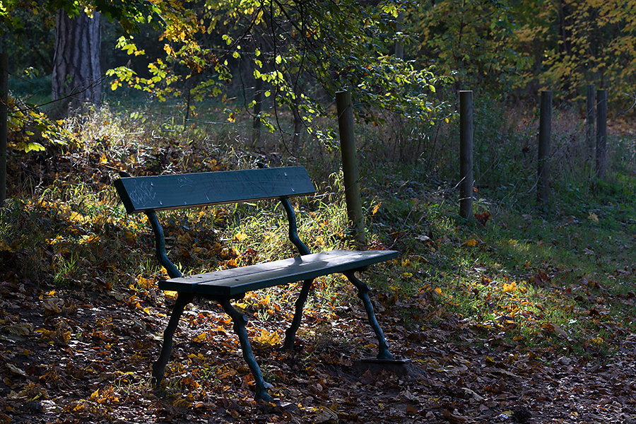 Lumière d'automne