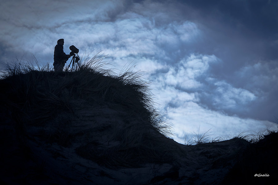 Gaëlle - Observateur de la dune