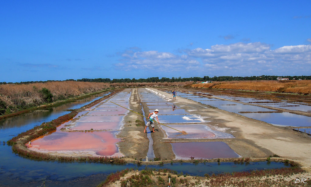 Denise - Salines