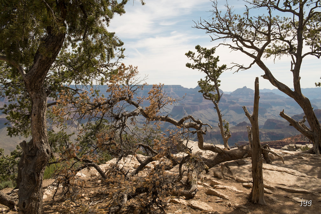 Jean-Yves - Dry canyon