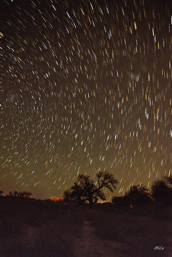 Michel C. - Stars