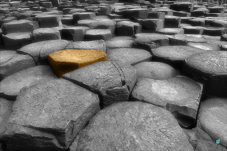 William - Giant Causeway gold