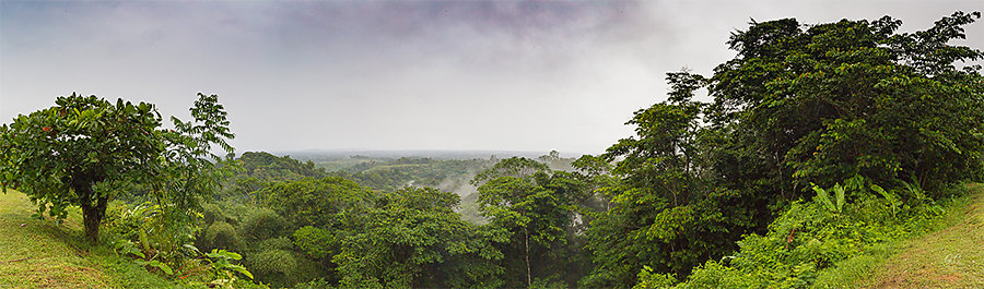 Gaëlle - Panorama