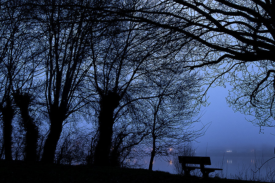 Contre-jour