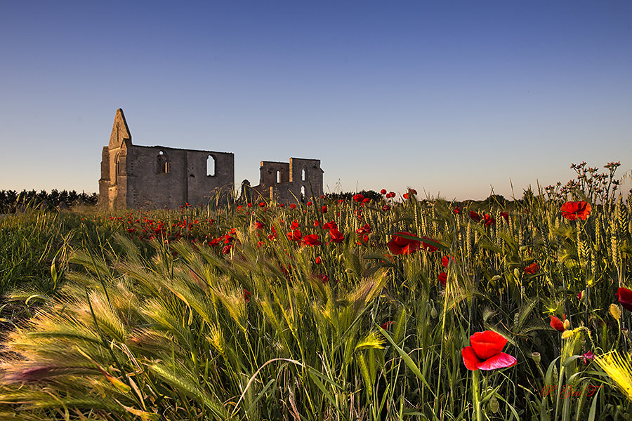 Pascal - Abbaye