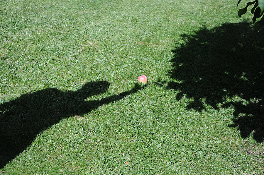 Jeux d'ombres