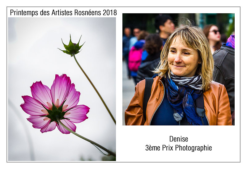 CPR-Denise-Annonce-Laureats-2018.jpg